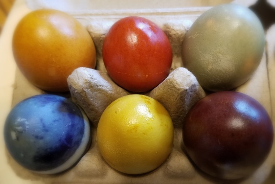 naturally dyed eggs 3